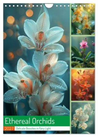 Naptár/Határidőnapló Ethereal Orchids (Wall Calendar 2027 DIN A4 portrait), CALVENDO 12 Month Wall Calendar Calvendo