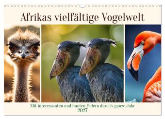 Kalendář/Diář Afrikas vielfältige Vogelwelt (Wandkalender 2027 DIN A3 quer), CALVENDO Monatskalender Calvendo