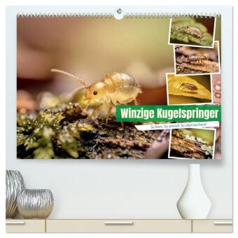 Kalendár/Diár Winzige Kugelspringer (hochwertiger Premium Wandkalender 2027 DIN A2 quer), Kunstdruck in Hochglanz Calvendo