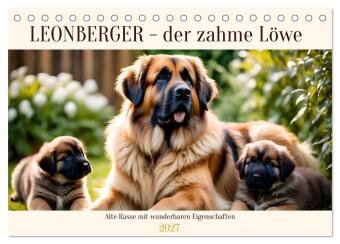 Kalender/Terminbuch Leonberger - der zahme Löwe (Tischkalender 2027 DIN A5 quer), CALVENDO Monatskalender Calvendo