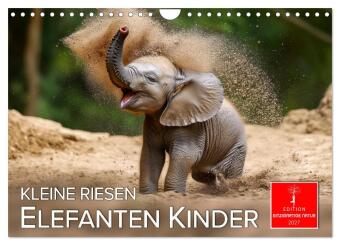 Kalendář/Diář Elefanten Kinder - kleine Riesen (Wandkalender 2027 DIN A4 quer), CALVENDO Monatskalender Calvendo