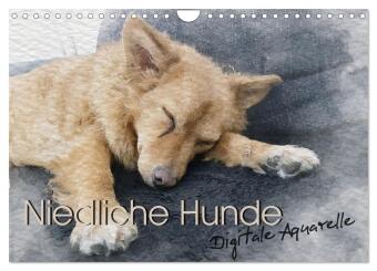 Naptár/Határidőnapló Niedliche Hunde - Digitale Aquarelle (Wandkalender 2027 DIN A4 quer), CALVENDO Monatskalender Calvendo