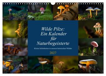 Naptár/Határidőnapló Wilde Pilze: Ein Kalender für Naturbegeisterte (Wandkalender 2027 DIN A3 quer), CALVENDO Monatskalender Calvendo