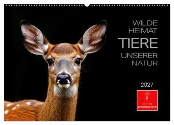 Naptár/Határidőnapló Wilde Heimat - Tiere unserer Natur (Wandkalender 2027 DIN A2 quer), CALVENDO Monatskalender Calvendo