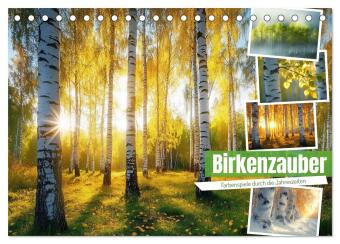 Naptár/Határidőnapló Birkenzauber (Tischkalender 2027 DIN A5 quer), CALVENDO Monatskalender Calvendo