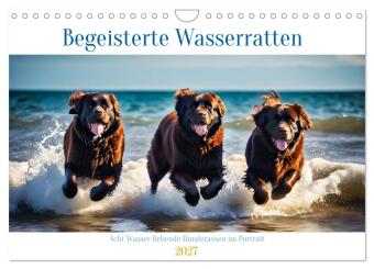 Naptár/Határidőnapló Begeisterte Wasserratten (Wandkalender 2027 DIN A4 quer), CALVENDO Monatskalender Calvendo