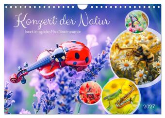 Naptár/Határidőnapló Konzert der Natur - Insekten spielen Musikinstrumente (Wandkalender 2027 DIN A4 quer), CALVENDO Monatskalender Calvendo