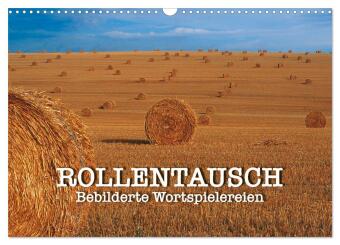Kalendár/Diár Rollentausch - Bebilderte Wortspielereien (Wandkalender 2027 DIN A3 quer), CALVENDO Monatskalender Calvendo