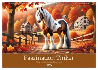 Kalender/agenda Faszination Tinker (Wandkalender 2027 DIN A3 quer), CALVENDO Monatskalender Calvendo