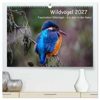 Kalendár/Diár Wildvögel 2027 (hochwertiger Premium Wandkalender 2027 DIN A2 quer), Kunstdruck in Hochglanz Calvendo