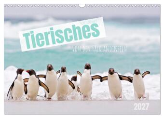 Naptár/Határidőnapló Tierisches von den Falklandinseln (Wandkalender 2027 DIN A3 quer), CALVENDO Monatskalender Calvendo