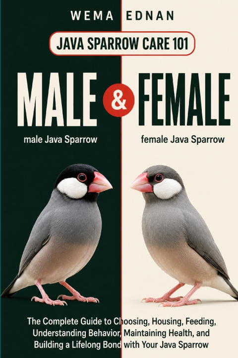Buch Java Sparrow Care 101 Wema Ednan