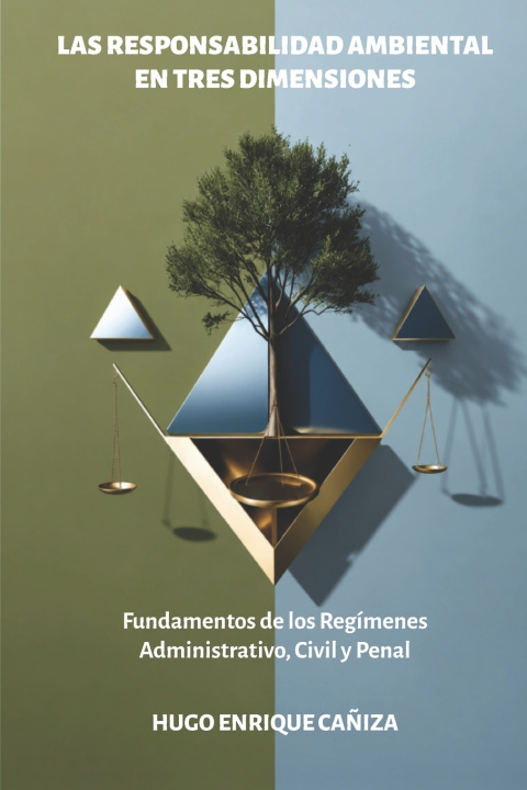 Buch La responsabilidad ambiental en tres dimensiones Hugo Enrique Cañiza