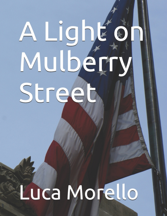 Buch A Light on Mulberry Street Luca Morello