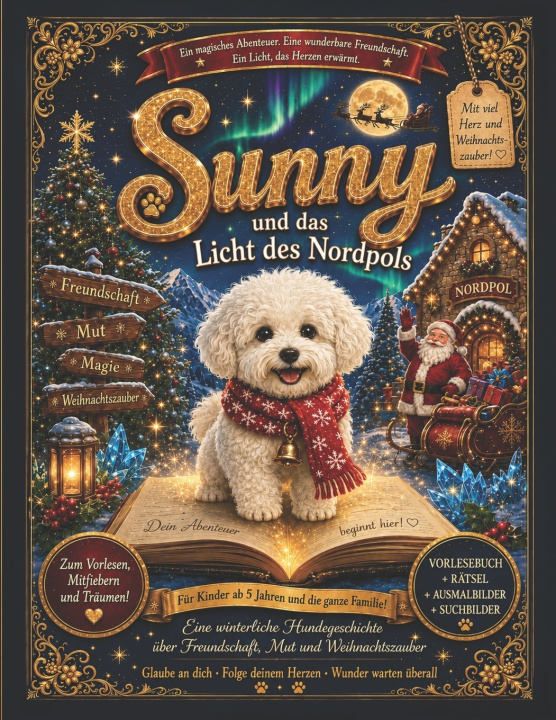 Buch Sunny und das Licht des Nordpols Sylke Rodmann