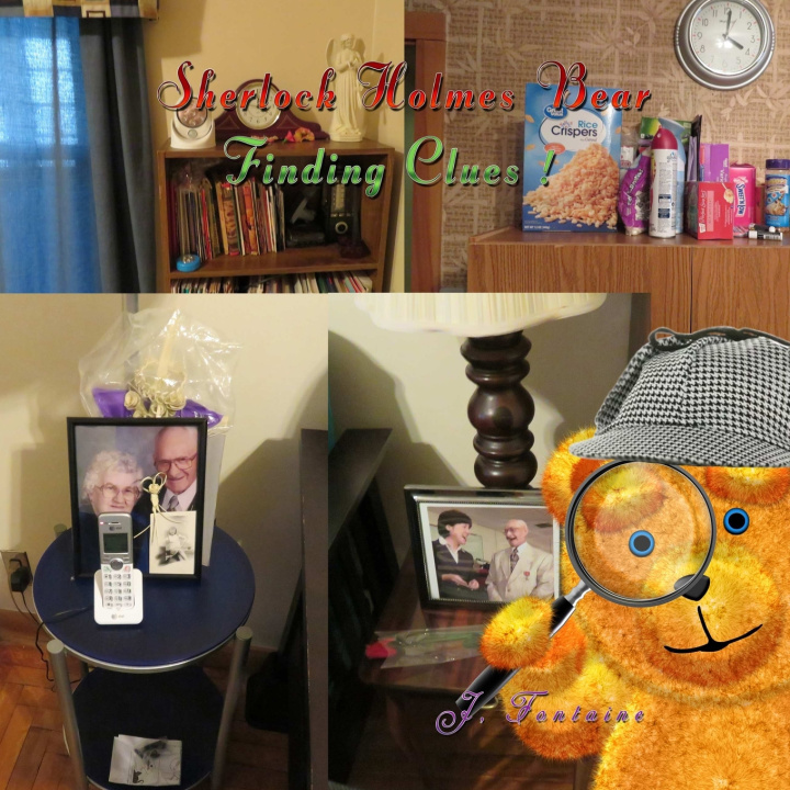 Knjiga Sherlock Holmes Bear Finding Clues J. Fontaine