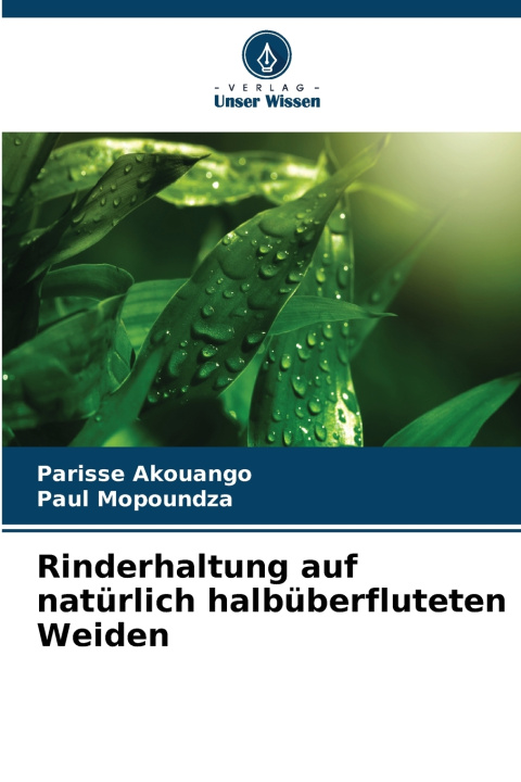 Carte Rinderhaltung auf natürlich halbüberfluteten Weiden Parisse Akouango