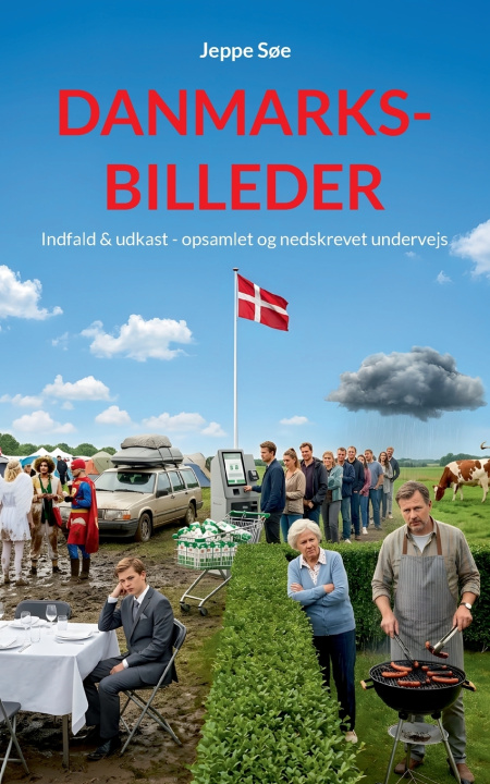 Buch Danmarksbilleder Jeppe Søe