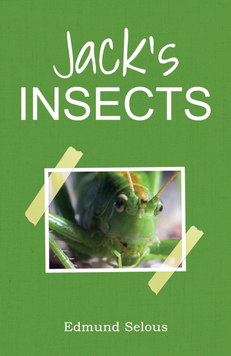 Βιβλίο Jack's Insects Edmund Selous