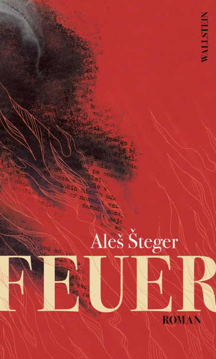 E-book Feuer Ales Steger
