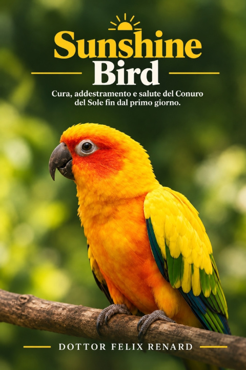 Buch Sunshine Bird felix renard