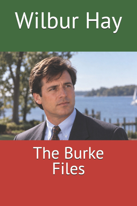 Knjiga The Burke Files Wilbur Hay