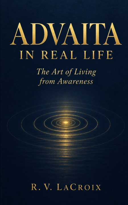 Boek Advaita in Real Life R.V. LaCroix