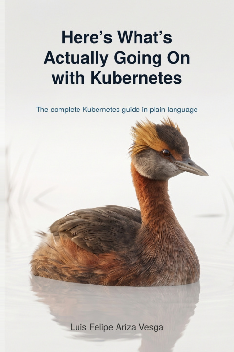 Książka Here's What's Actually Going On with Kubernetes Luis Felipe Ariza Vesga