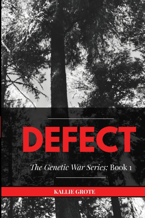 Boek Defect Kallie Grote