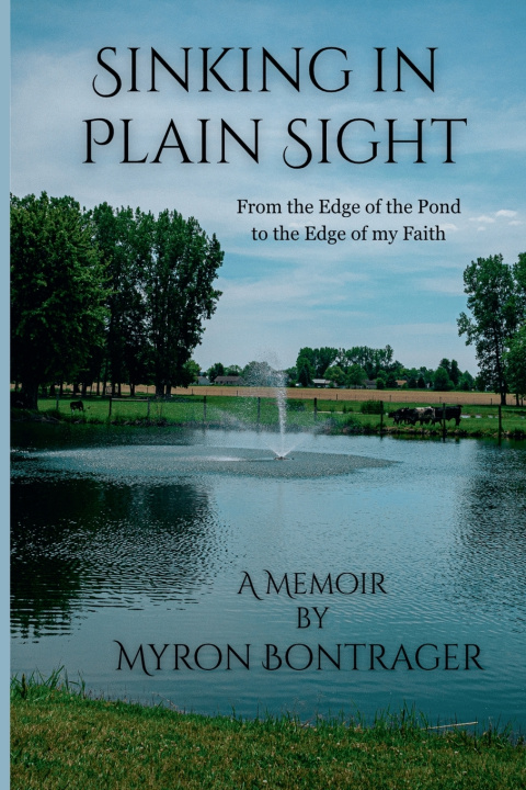 Livro Sinking in Plain Sight Myron Bontrager