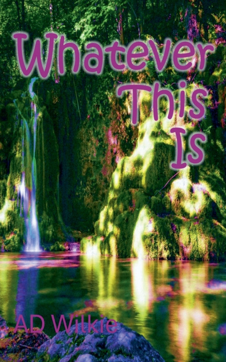 Libro Whatever This Is AD Wilkie