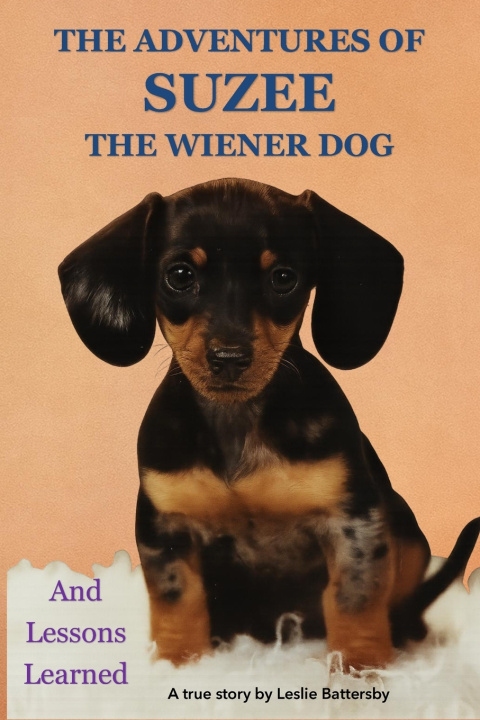 Buch The adventures of Suzee the wiener dog and lessons learned Leslie Battersby