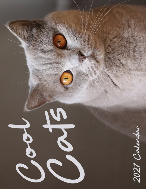Βιβλίο Cool Cats 2027 Calendar B. Patrick