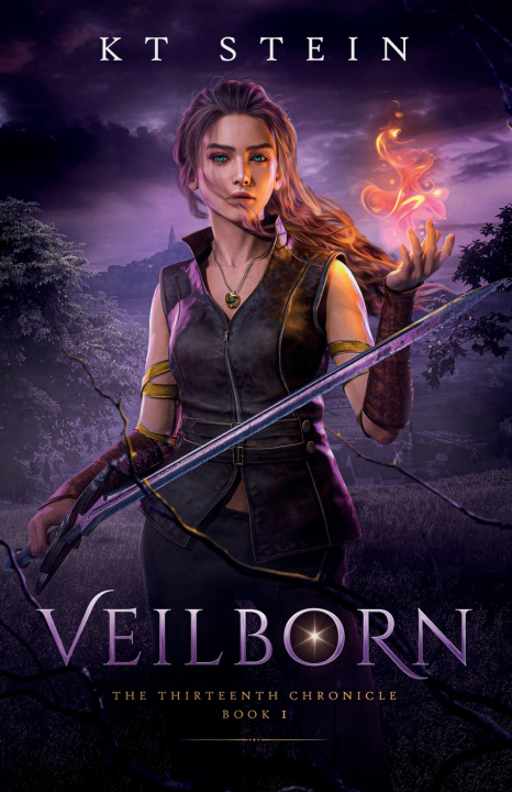 Boek Veilborn KT Stein
