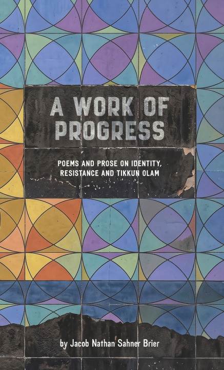 Boek A Work of Progress Jacob Brier