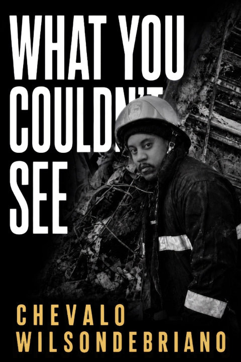 Knjiga What You Couldn't See CHEVALO WILSONDEBRIANO