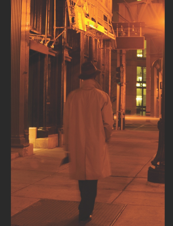 Libro The Vault's Echo lorraine Cunningham