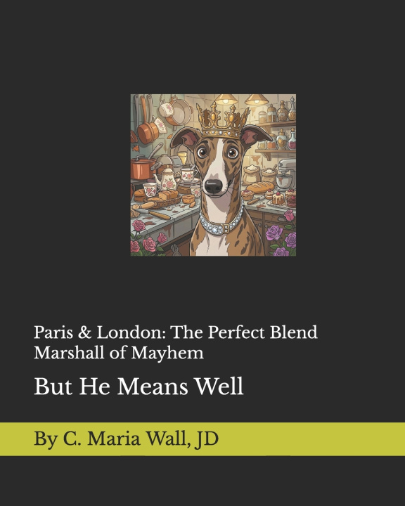 Knjiga Paris & London C. Maria Wall JD