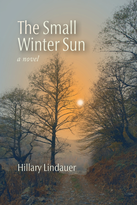 Libro The Small Winter Sun Hillary Lindauer