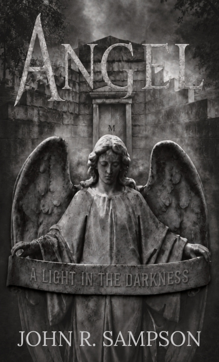 Buch Angel John R. Sampson