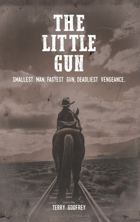 Kniha The Little Gun Terry D Godfrey