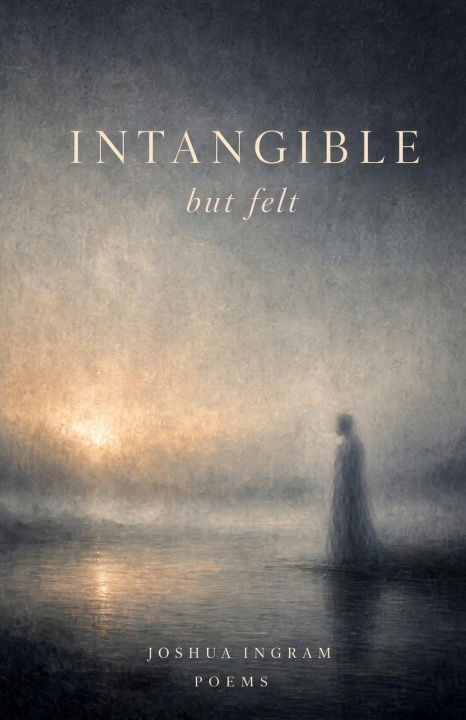Boek Intangible But Felt Joshua Ingram