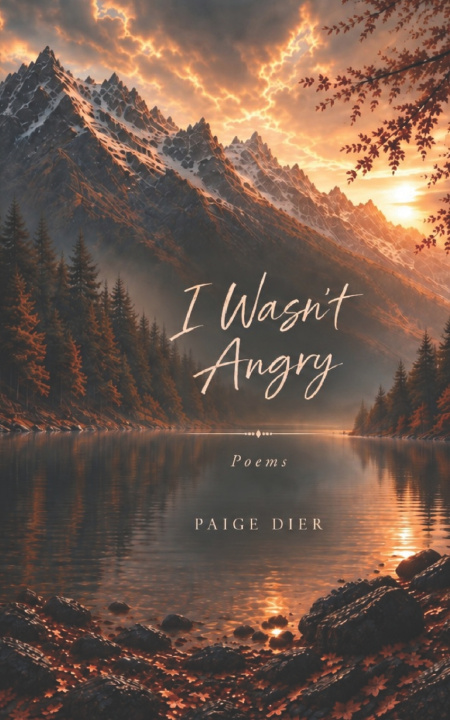 Książka I Wasn't Angry Paige Dier