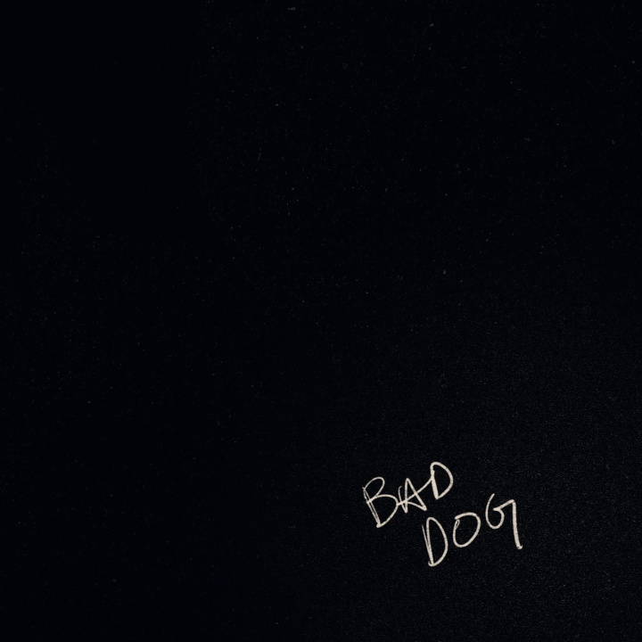 Boek Bad Dog Lauren Keller