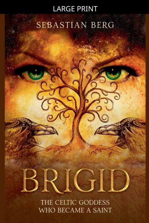 Livro Brigid Sebastian Berg