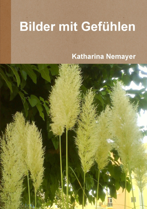 Buch Bilder mit Gefühlen Katharina Nemayer