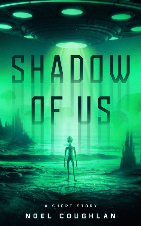Buch Shadow of Us Noel Coughlan