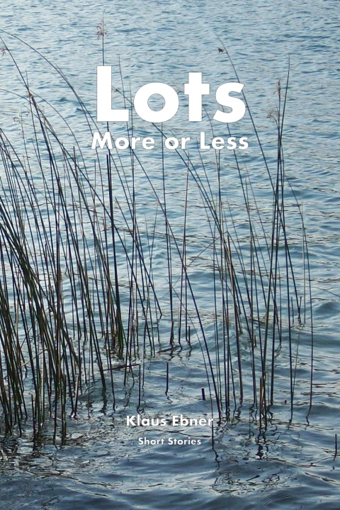 Книга Lots, More or Less Klaus Ebner
