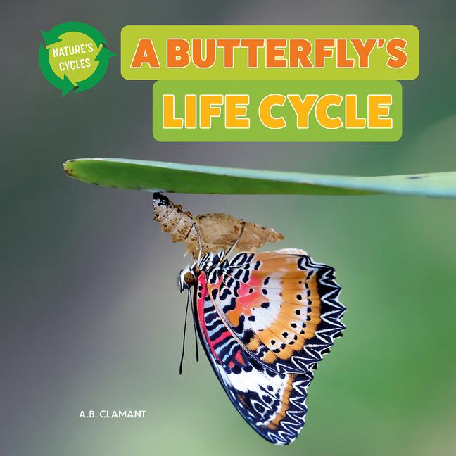 Kniha A Butterfly's Life Cycle 