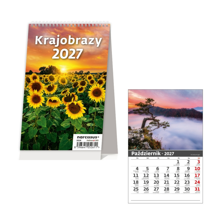 Buch Kalendarz 2027 biurkowy miesięczny pionowy Krajobrazy 